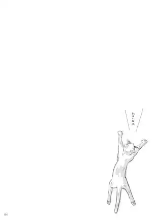 Neko no Shitsukekata