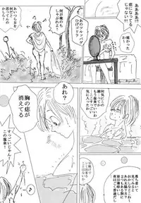 [Ichigoame] To share one´s fate Zenpen (Dragon Ball Z)