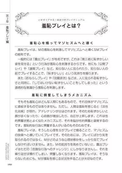いますぐデキる 図説SMプレイマニュアル