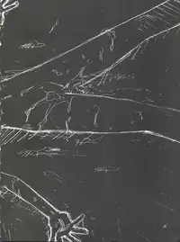 (C46) [PUSSY-CAT (Oono Tetsuya)] Black Cat (Akazukin Chacha, Sailor Moon)