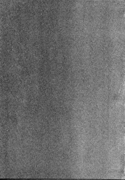 [Tsurikichi Doumei (Umedama Nabu, Tooyama Ginshirou)] Taiho Shichauzo The Doujin (You're Under Arrest!)