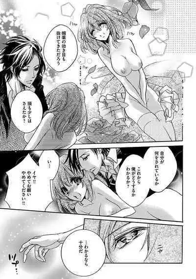 鬼畜兄弟の悶絶調教～私はいいなり奴隷～