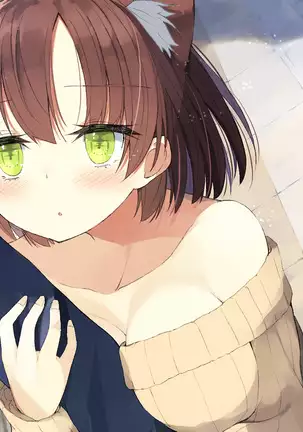 Ore no Kanojo ni wa Nekomimi ga Haeteiru