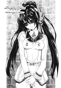 (C81) [Kouchaya (Ootsuka Kotora)] Love Slave (Infinite Stratos)