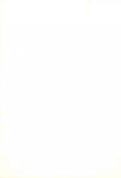 [NIPA2 COMPANY (OKINA)] STIGMA Tenshi no Rakuin -Seikon-