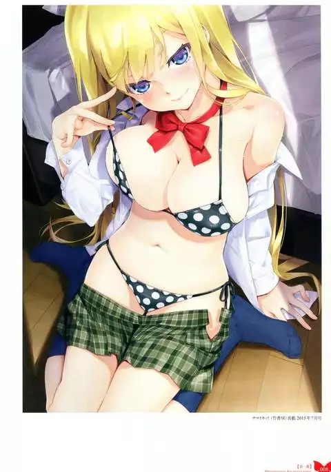 Happoubi Jin Gashuu Hoteri