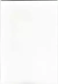 (C79) [Awareness (Aikawa Touma)] FESTA 3 (Hayate no Gotoku!)