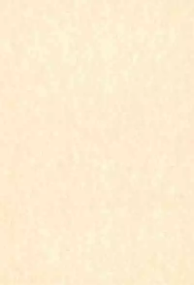 Hinaya Tsuushinbo DX Vol.1