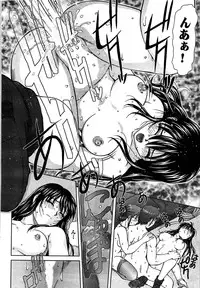 COMIC Purumelo 2007-08 Vol.08