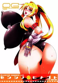 (C77) [HGH (HG Chagawa)] Pleated Gunner #20 Senshi no Himegoto (Mahou Shoujo Lyrical Nanoha)