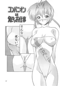 [Hellabunna (Iruma Kamiri)] Iruma Kamiri Tankou bon Misyuuroku Sakuhin syuu 「C.」