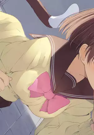 Ore no Kanojo ni wa Nekomimi ga Haeteiru