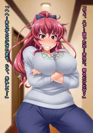 Shitagi no Shichaku Service ni Damasareta Yan-tsuma Ruriko 26-sai