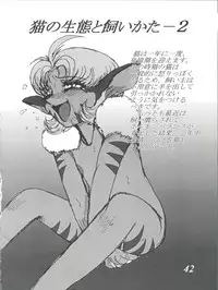 [G-TWO UNIT Reika-doh (Baron Mori)] MOVA FILE 3 - Hitomi! Diamond!! (The Vision of Escaflowne)