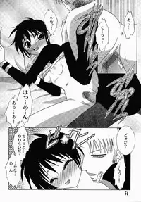 [Tokunaga Kujaku] Shibo - Longing