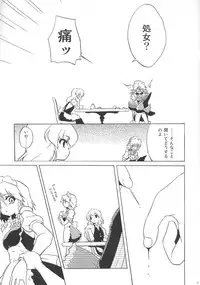 (SC39) [Web Knight (Naitou Satoshi)] Shinku No Aruji ~The Meister Of Scarlet~ (Touhou Project)