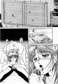 [IDEA] Shun Ka Shuu Tou