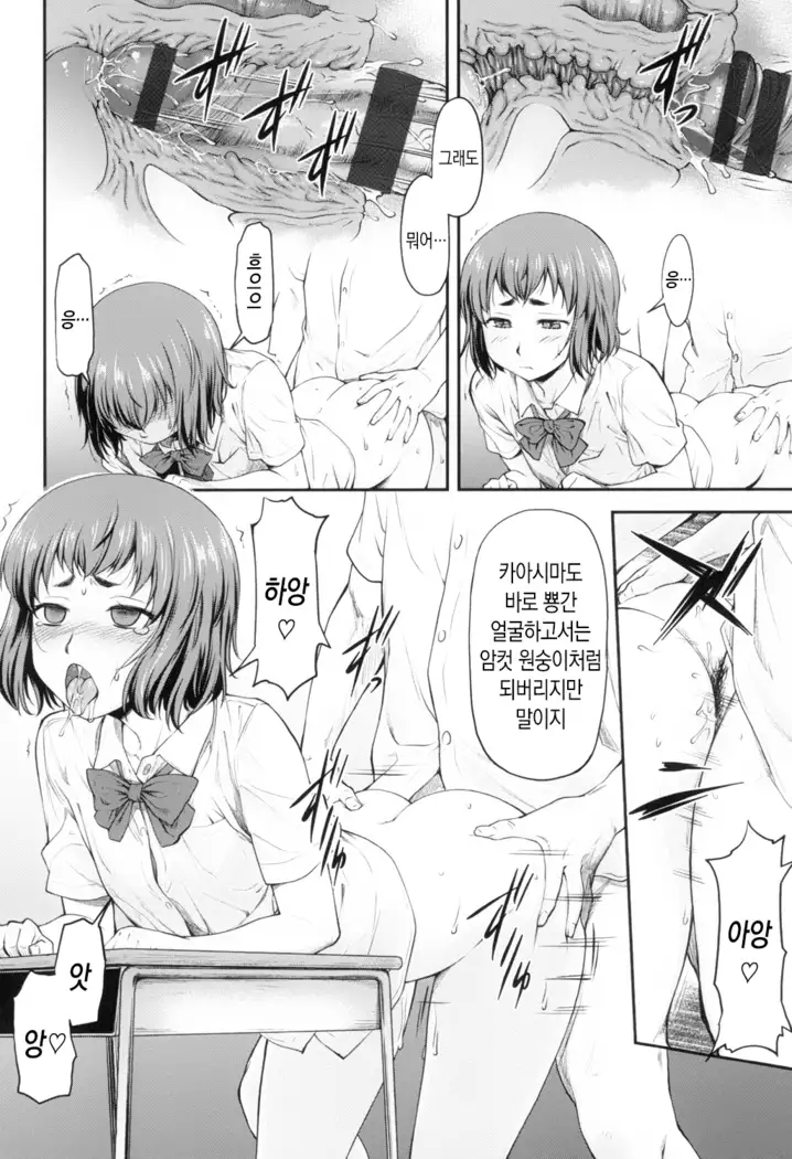 Kaname Date Jou | 카나메 Date 上