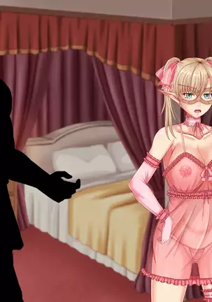 When Did My Elf Companions Become Prostitutes