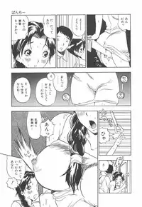 [Penicillin XI] Panchii