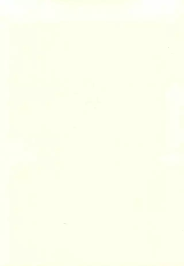 ご注文は神獣ですよ!