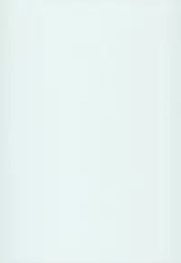 (C94) [Aodouhu (Neromashin)] Houjou no Reizoku Elf 4 [English] [progste]