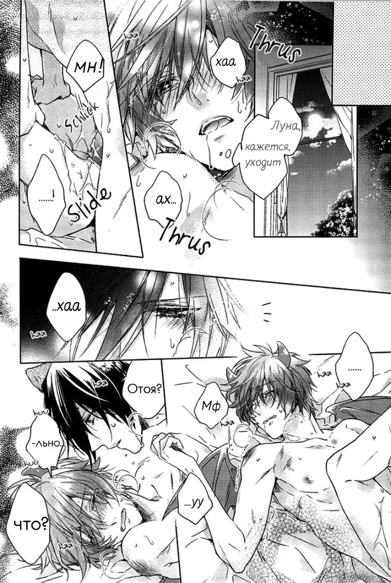 prism night jelly kiss