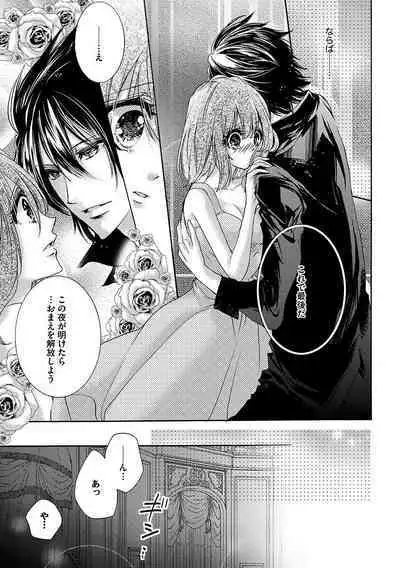 鬼畜兄弟の悶絶調教～私はいいなり奴隷～