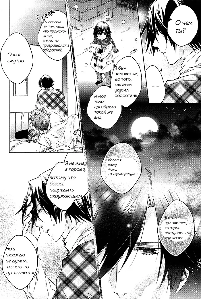 prism night jelly kiss