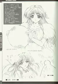 (CR29) [J.P.S. of Black Beauty (Hasumi Elan)] The Basement Tapes Vol.1 (first edition) (Various)