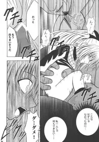 [Crimson (Carmine)] Kyouiku Soushuuhen (Black Cat)