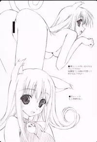 (C74) [GRAPEFRUIT (Shintarou)] R (Soul Eater)