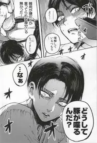 (C86) [Onjire (Tamy)] ONGRE2013 (Shingeki no Kyojin)