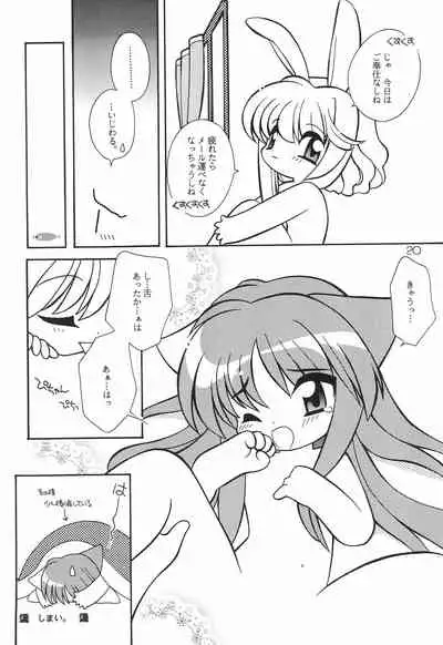 (C56) [Sadakichidou, SEE-SAW (Yamamoto Sadakichi)] Himitsu Nikki