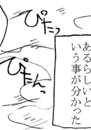 The Swimmer & The Janitor