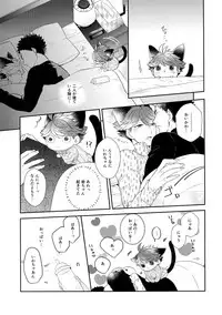 (RTS!!13) [Rototika (Kamishi Yue)] Iwachan no Neko ni Naritai 6 (Haikyuu!!)