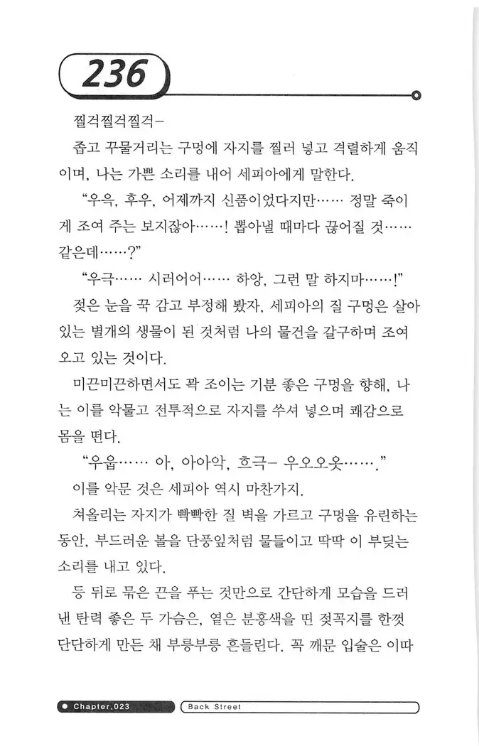 최면게임 - 타락하는 공주기사