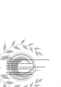 (SC2017 Autumn) [BERRY BAGEL (Kanekiyo Miwa)] Angel Number 333 (Fate/Grand Order) [English] [constantly]