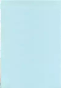 [Densuke] Honey Spot