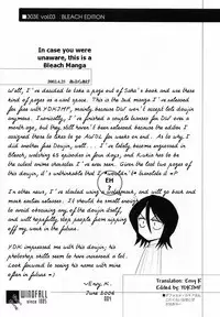 [Windfall (Aburaage)] 303e Vol.03 Bleach Edition - Uncertain Sister (Bleach) [English] [Team Envy] [Incomplete]