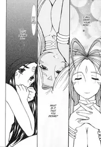 (CR37) [Studio Wallaby (Haruhonya)] Ah! Megami-sama ga Pet | Ah! Goddess is a Pet (Ah! My Goddess) [English] [SaHa]