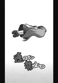 [Danshaku Ryou (Danshaku)] Renkoin Kinshi (Touhou Project) [English] [desudesu]