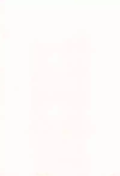 Chibi Succu Shiko Life