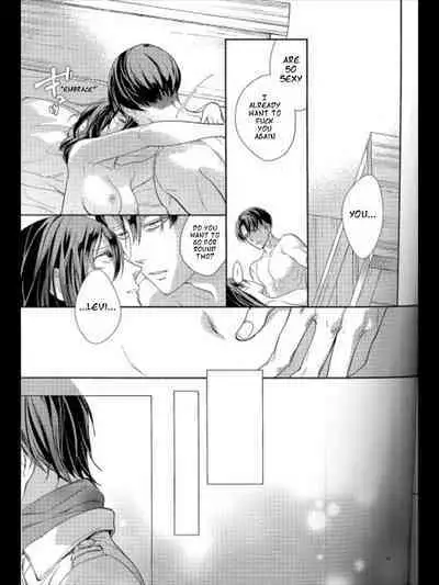 (C95) [Dissonance (Sakuragawa Naa)] Yuugou | Fusion (Shingeki no Kyojin) [English]