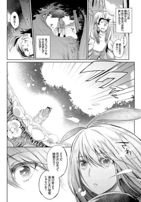 Jingai Musume-tachi no Sei Jijou