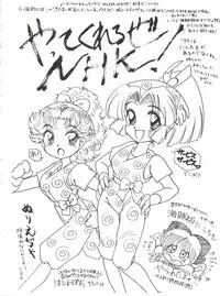 (C45) [Team Plus-Y (Haniwa Pao)] Himeko to Himegoto (Hime-chan's Ribbon)