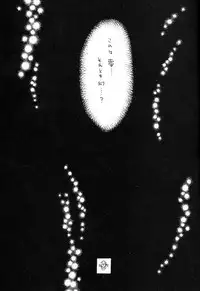 [HEART WORK & JOKER TYPE (Suzuhira Hiro, Nishimata Aoi)] Only if ... (Kanon)