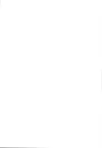 (C95) [viento campanilla (Suzuhane Suzu)] Cos wa Midara na Kamen -Hamecheki Shuu 2-satsume- (Fate/Grand Order) [Chinese] [新桥月白日语社]