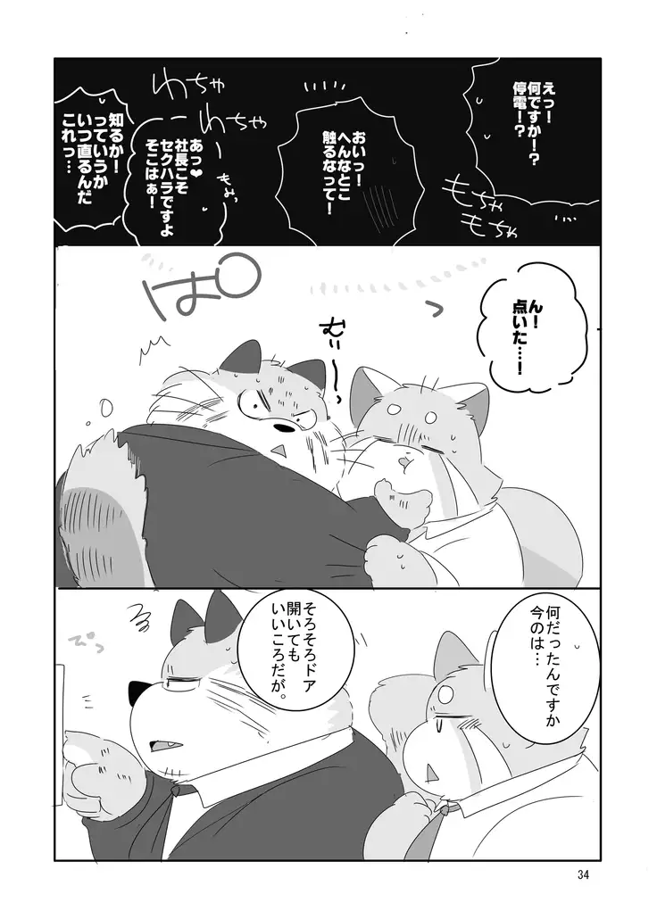 Everybody Loves Cat President!