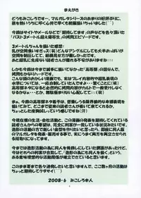 (SC40) [Algolagnia (Mikoshiro Honnin)] St. Margareta Gakuen COLORFUL! Vol. 3 [English] =LWB=